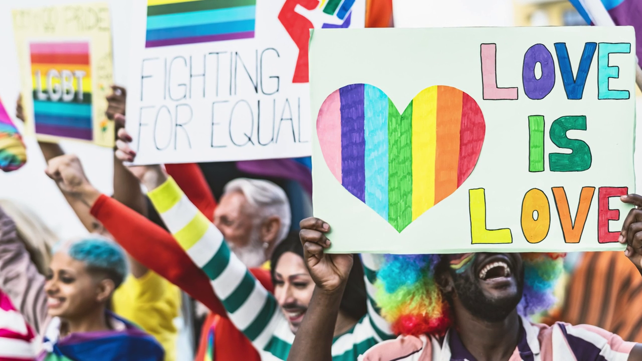 TV1 More Than Rainbow Flags | Thank You Black Women