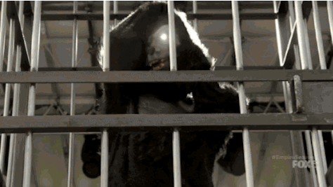 giphy (5)