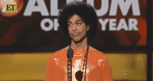 giphy (31)